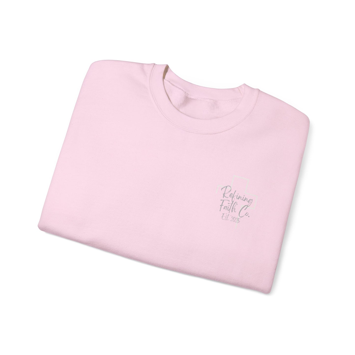 TRAIN UP A CHILD ADULT SWEATSHIRT