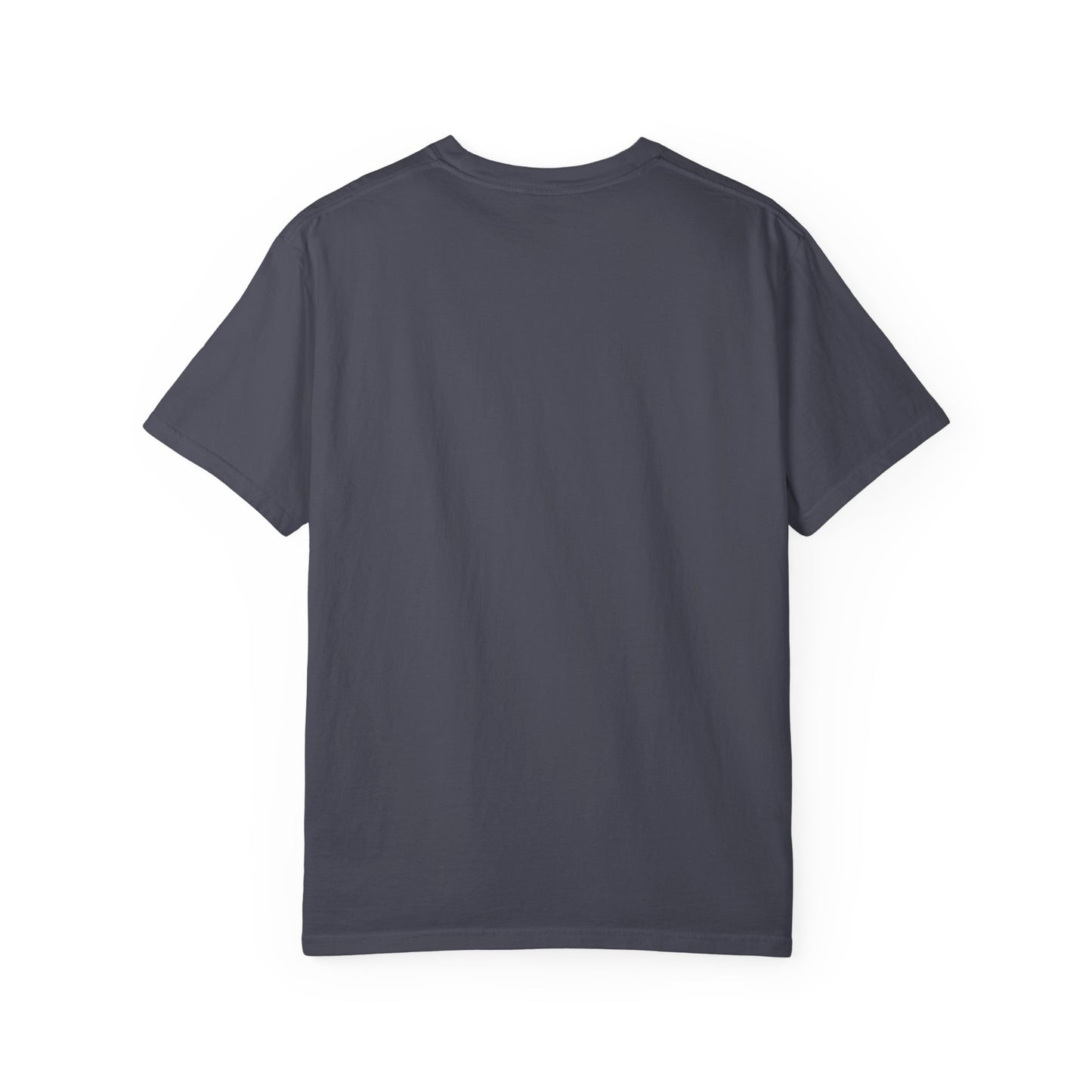 COMFORT COLORS - Jesus Loves You Silly Goose T-Shirt — Cute Christian Graphic Tee