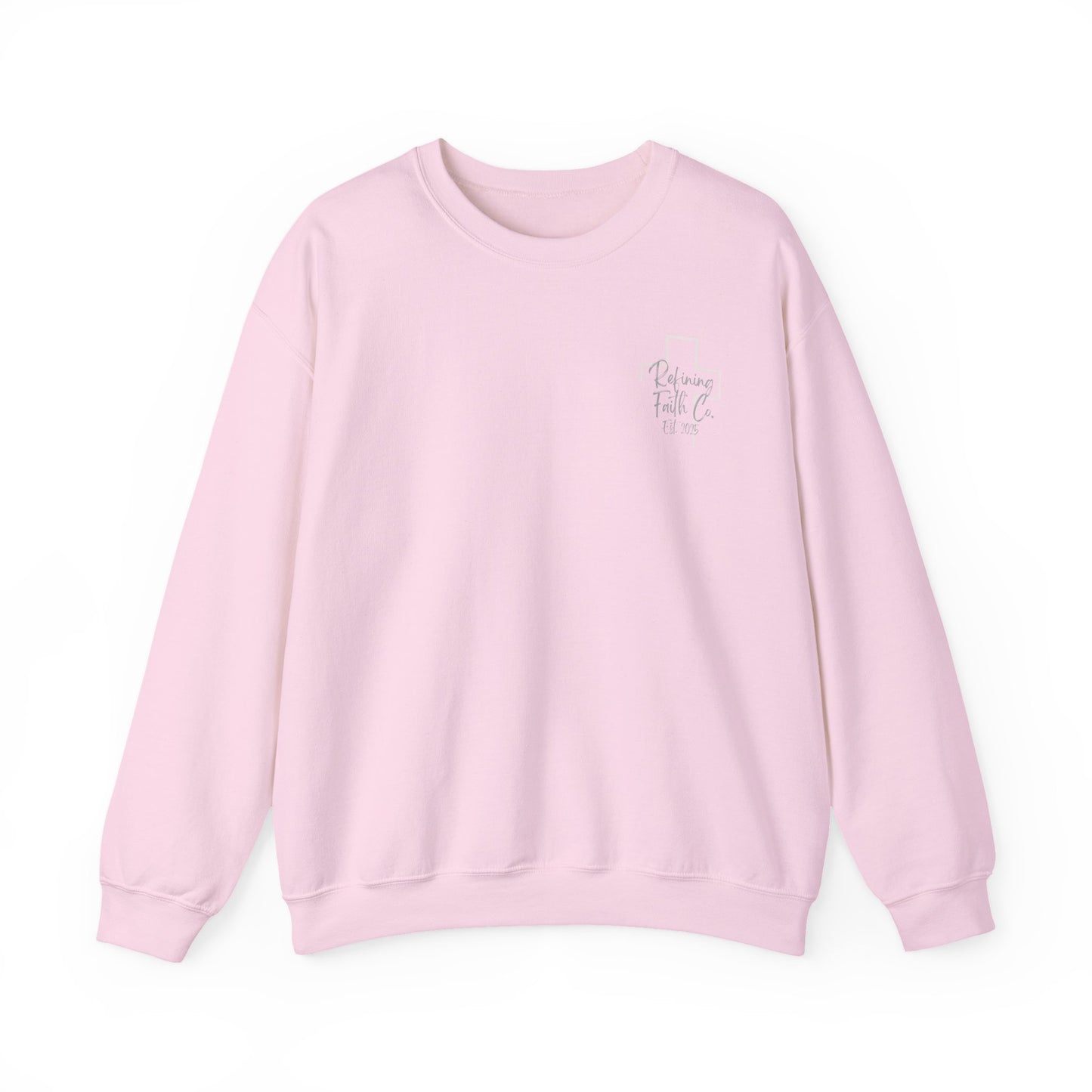 TRAIN UP A CHILD ADULT SWEATSHIRT