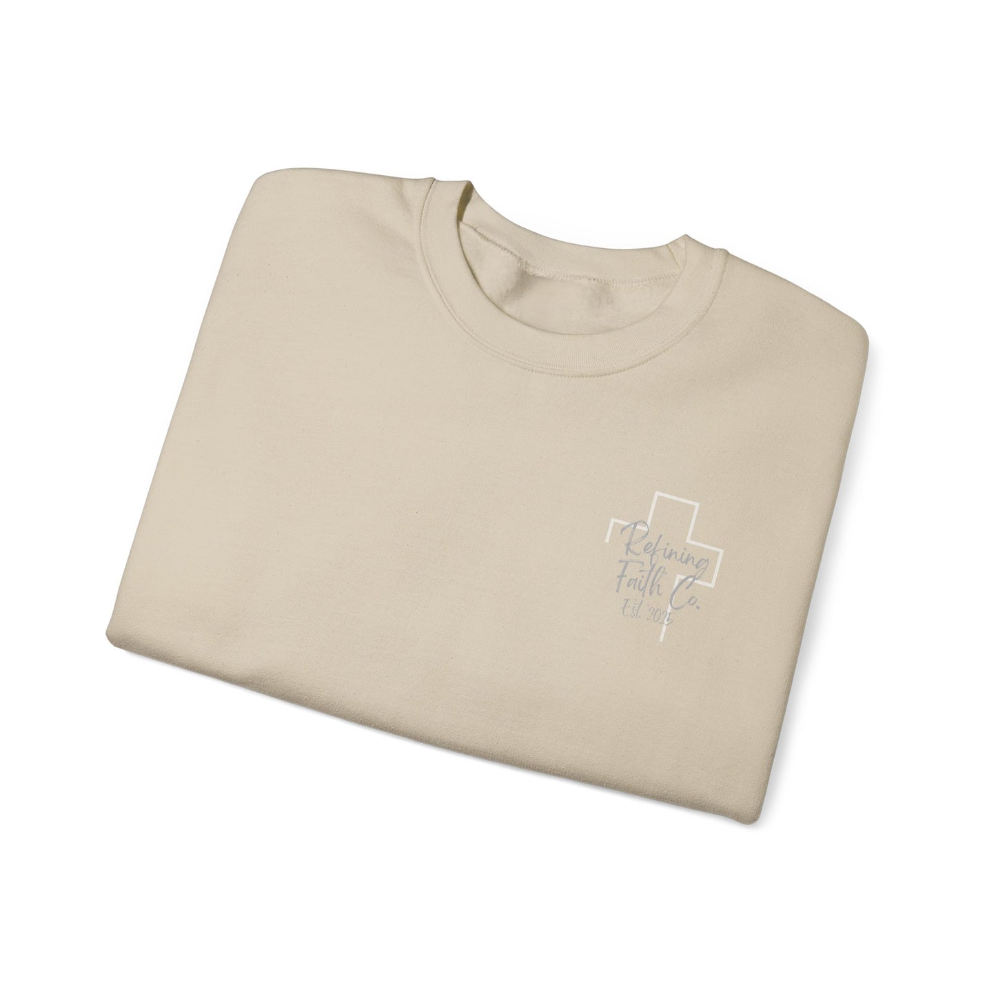 TRAIN UP A CHILD ADULT SWEATSHIRT