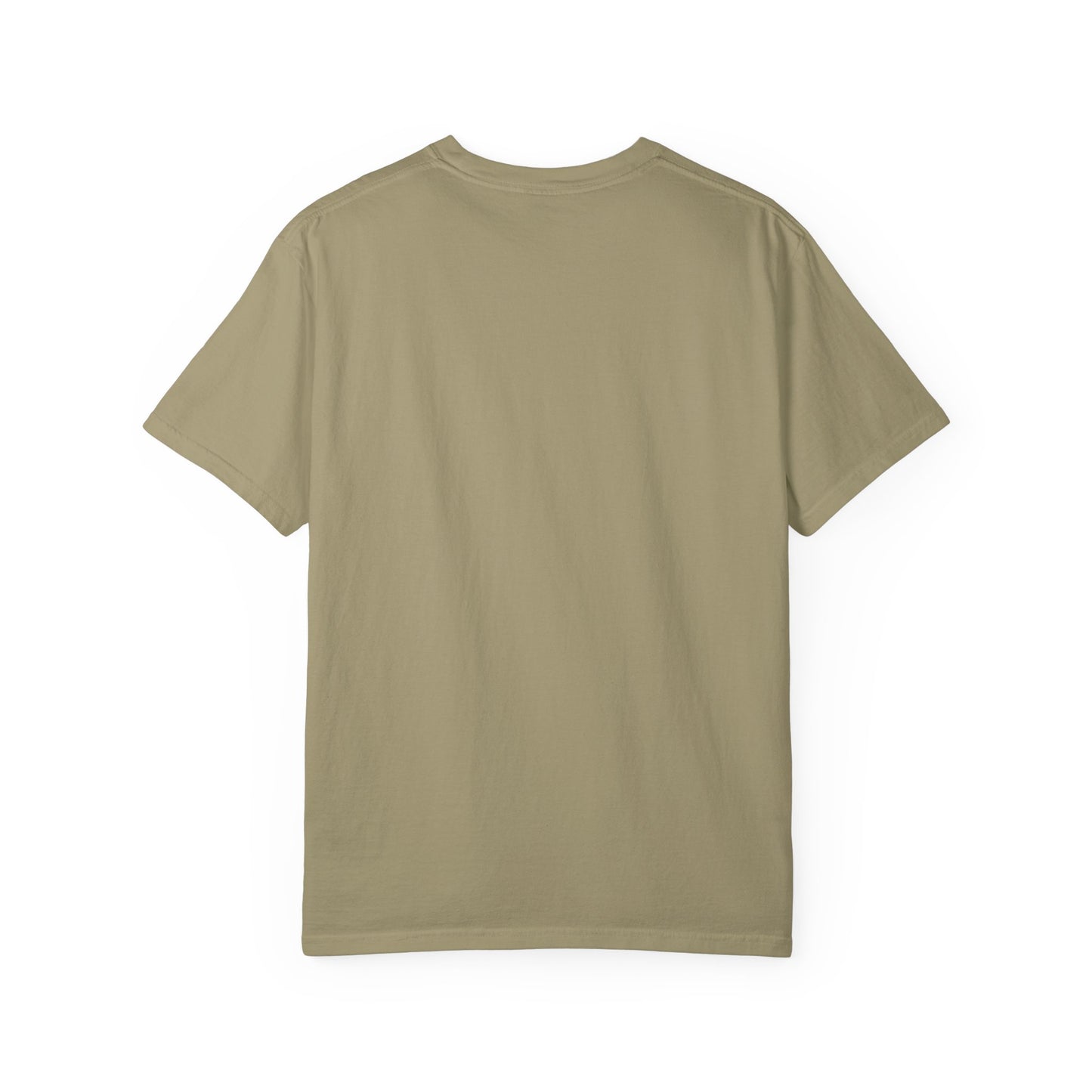 COMFORT COLORS - Spooky and Feral Halloween T-Shirt — Raccoon & Pumpkin Costume Tee