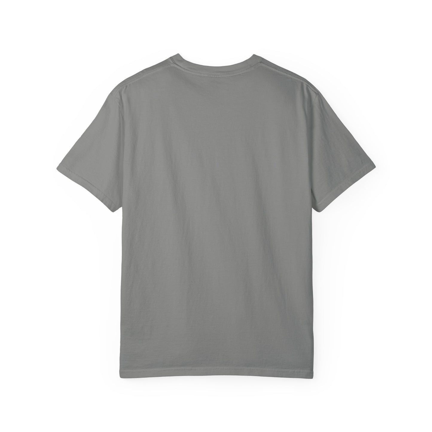 COMFORT COLORS - Spooky and Feral Halloween T-Shirt — Raccoon & Pumpkin Costume Tee