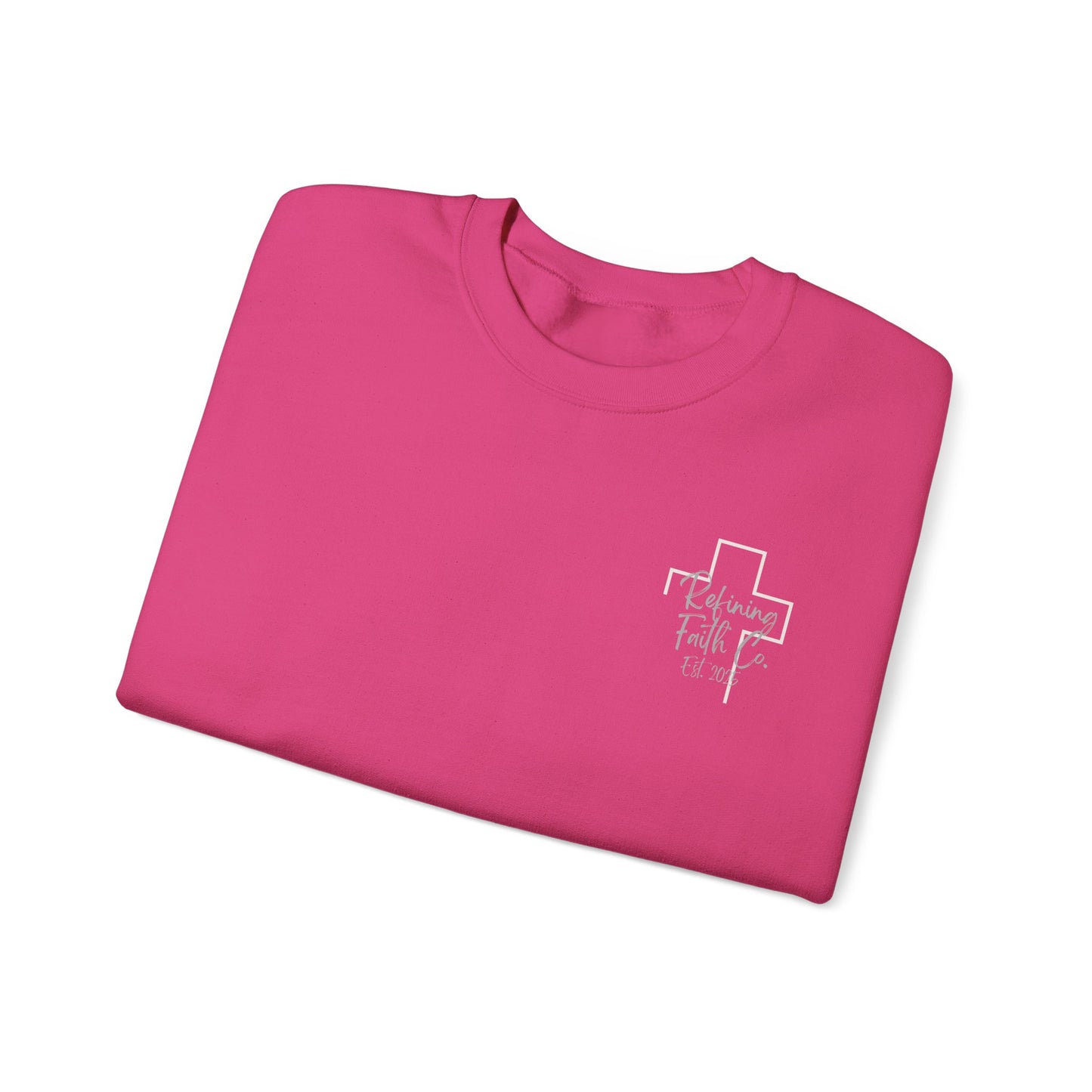 TRAIN UP A CHILD ADULT SWEATSHIRT